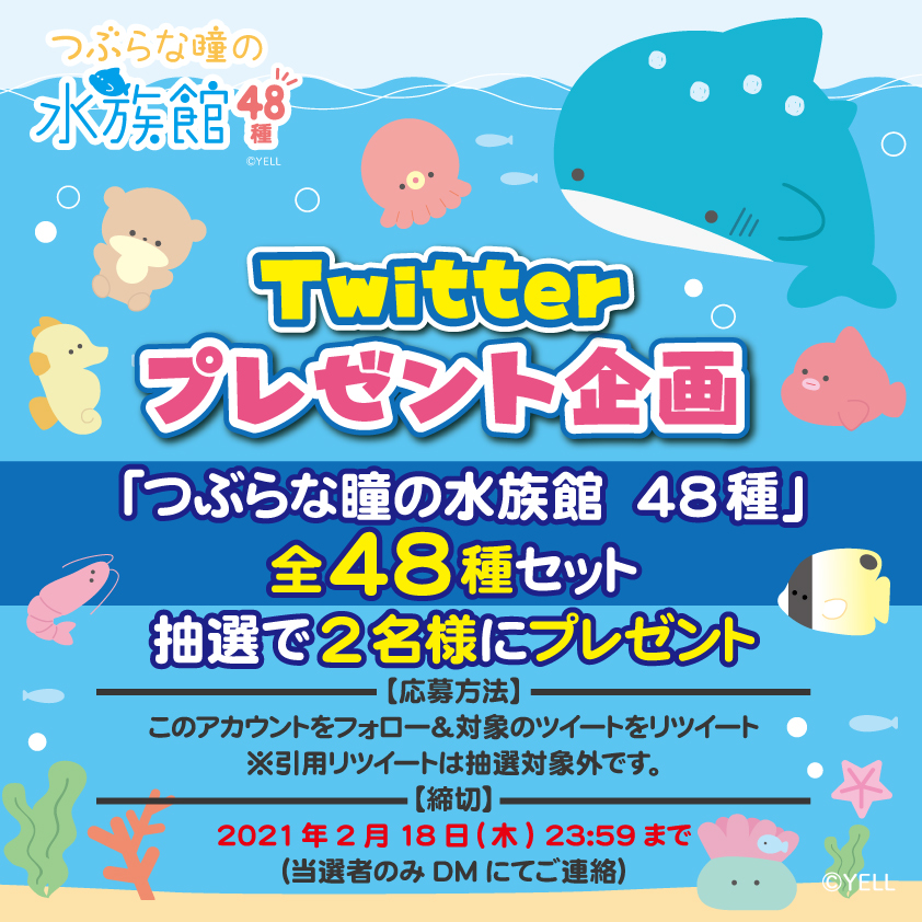 2月13日 つぶらな瞳の水族館 公式Twitter開設 1周年！「つぶらな瞳の  