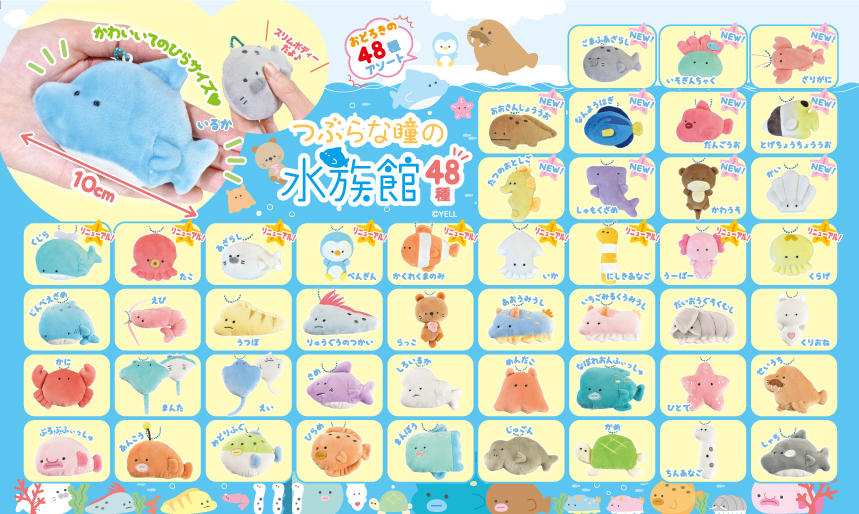 2月13日 つぶらな瞳の水族館 公式Twitter開設 1周年！「つぶらな瞳の  