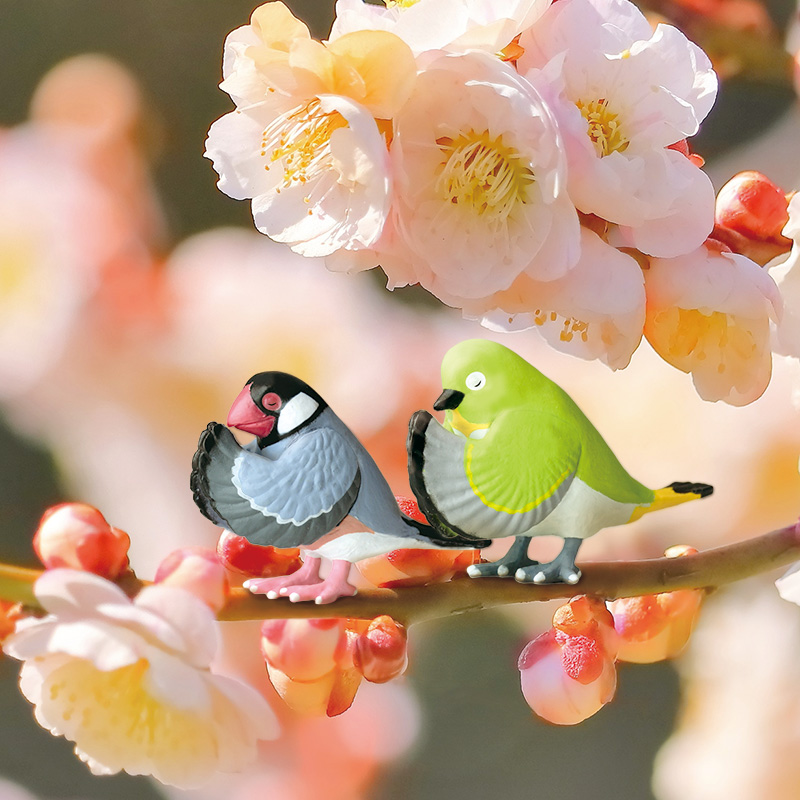 合掌 匠　鳥拝　イメージ　桜文鳥とメジロ