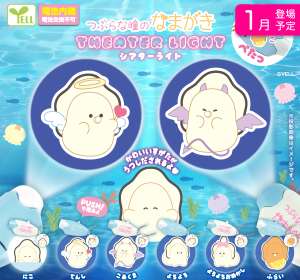 つぶらな瞳 💃🏻We are delighted to introduce a brand-new blind box collection